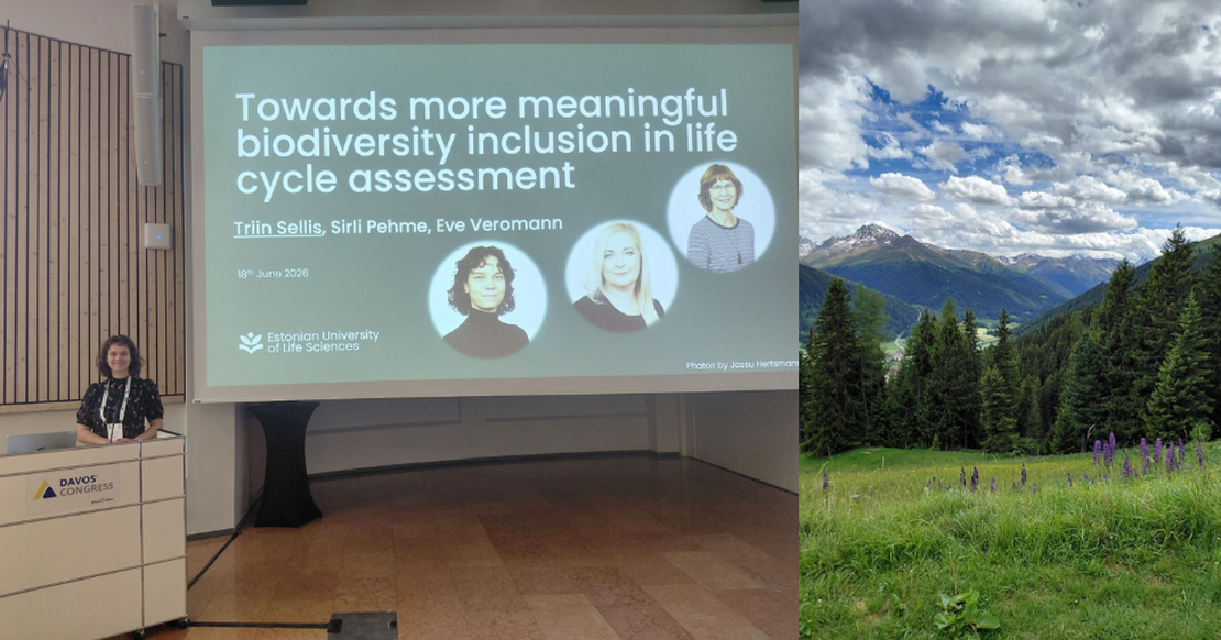 Participation in the World Biodiversity Forum