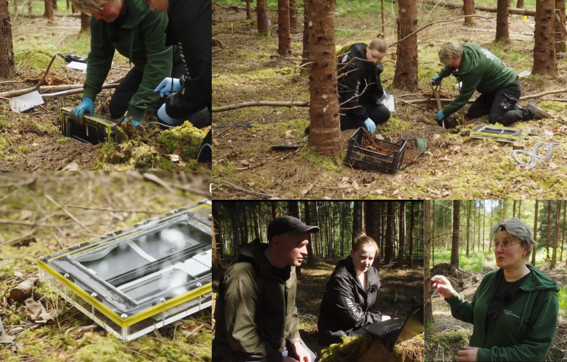 Our Root Ecology Group was featured on "Osoon"