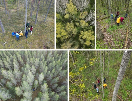 Newsletter - Spring 2025